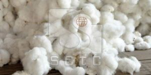 Raw Cotton