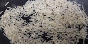 1121 Basmati Rice