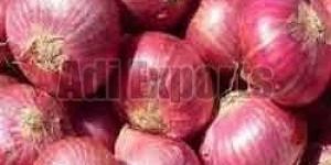 Fresh Red Onion