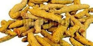Turmeric Finger
