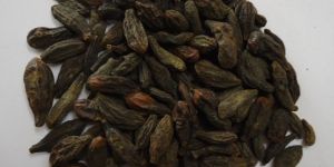 Black Cardamom