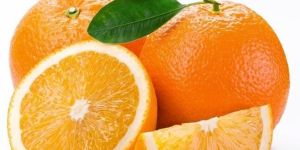 Fresh Oranges
