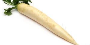 Fresh Radish