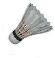 Badminton Equipment