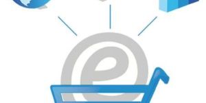 Custom eCommerce Development Services