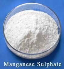Manganese Sulphate Powder