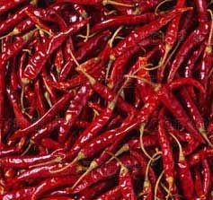 Dry Red Chilli
