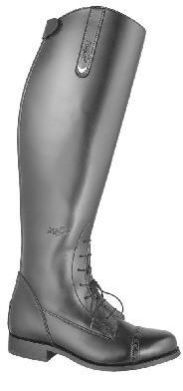 Horse Riding Accessories