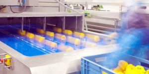 Food Grade Oils and Greases