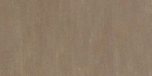 Autumn Brown Sandstone