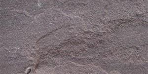 Chocolate Sandstone