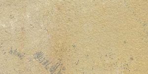 Fossil Mint Sandstone