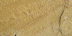 Lalitpur Yellow Sandstone