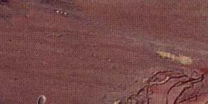 Pure Pink Slate Stone