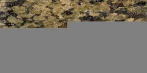 Raniwara Yellow Granite