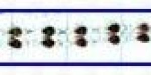 Silver Bezel Bracelets Si2b-165