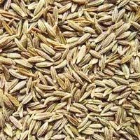 Cumin Seeds