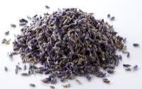 Dried Lavender Flowers