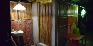 Bamboo Door And Wall Panels