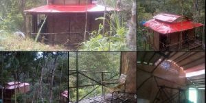 Low Cost Bamboo Cottage