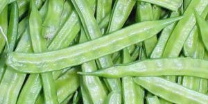 Guwar (Cluster Beans)