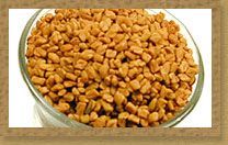 Fenugreek