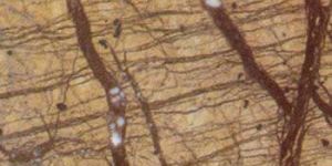 Natural Slate Stone 04