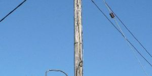 Aerial Bunched Cables