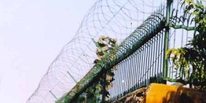 Razor Blade Wire Rbw - 03