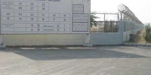 Razor Blade Wire RBW - 08