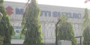 Razor Blade Wire Rbw - 10