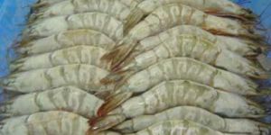 Frozen White Shrimp
