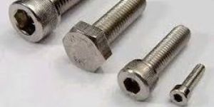 Stainless Steel Bolt
