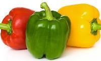 Paprika
