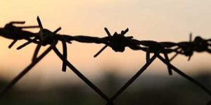 Barbed Wire
