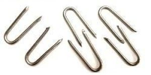 Stainless Steel U Nails