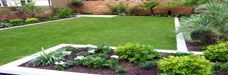 HORTICULTURE MAINTENANCE SERVICES