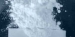 Poultry Feed Supplement (XL - Pro)