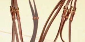 Leather Bridle