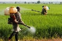 Agriculture Pesticides