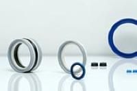 Pneumatic Seals