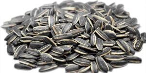 Sunflower Seeds