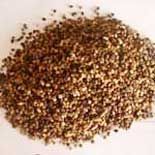 Cardamom Seed