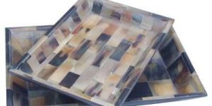 Horn Tray