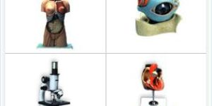 Biology Lab Equipments