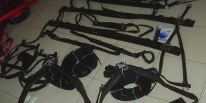 Horse Harness