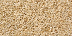 Sesame Seeds