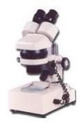Zoom Stereoscopic Microscope