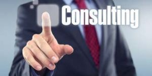 Security Consultancy