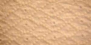 Hand Embroidered Fabric